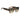 Dsquared2 Eyewear & Sunglasses