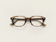 BROWN ASH / 49