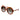 Gucci 1432S Havana 002 Size 57, Sunglasses - Dayal Opticals