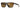 Gucci 1571S Dark Havana 002 Size 55,  Sunglasses - Dayal Opticals