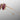 jacques_Marie_Mage_Commander_Champague...............