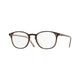 HORN  TRANSPARENT   1666 / .