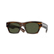 TORTOISE  172452 / 51