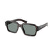 ROOT TORTOISE   17N20N / 52