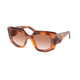 COGNAC TORTOISE   18R70E / 50