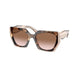 TORTOISE CARAMEL POWDER   01R0A6 / 54