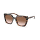 CARAMEL TORTOISE    07R0A6 / 54