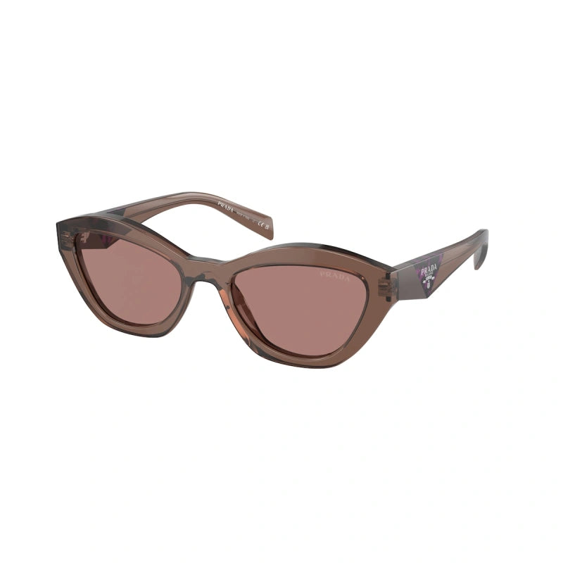 Prada PR 26ZSF 56 Dark Brown & Sage/Honey Tortoise Sunglasses | Sunglass  Hut USA