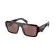 BRIAR TORTOISE   17N90B / 53