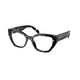 BLACK CRYSTAL TORTOISE   15O1O1 / 51