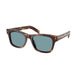 CLASSIC TORTOISE   15W04D / 51