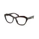 ROOT TORTOISE   17N1O1 / 54