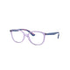 TRANSPARENT VIOLET   3885 / 49