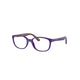 VIOLET &  BORDEAUX  3962 / 46