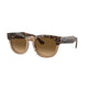 HAVANA & TRANSPARENT BROWN   1292M2 / 53
