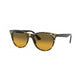 STRIPED HAVANA   1248AC / .