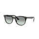 GREY HAVANA   1250AD / .