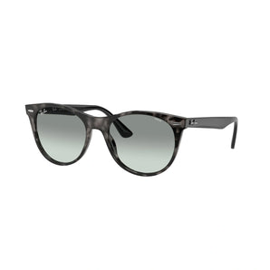 Ray Ban Eyewear & Sunglasses