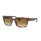 STRIPED HAVANA   954/51 / 55