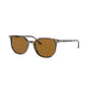 HAVANA & BROWN   135757 / 52