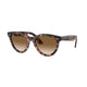 PINK HAVANA  133451 / 51