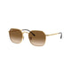 GOLD & LIGHT BROWN   001/51 / 53