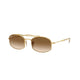 GOLD & LIGHT BROWN   001/51 / 54