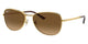 GOLD & BROWN   001/M2 / 56