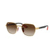 GOLD & BROWN  F02913 / 54