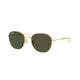 GOLD    001/31 / 53