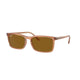 TRANSPARENT BROWN   676433 / 56