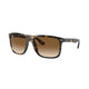 HAVANA & LIGHT BROWN    710/51 / 57