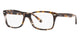 GREY AND BROWN HAVANA  TRANSPARENT   8173 / 53