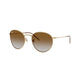 ARISTA GOLD & LIGHT BROWN   001/CB / 53