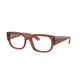 TRANSPARENT BROWN  8261 / 52
