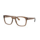 TRANSPARENT LIGHT BROWN   8198 / 53