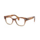 LIGHT BROWN HAVANA  8108 / 49