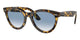 YELLOW HAVANA  13323F / 51
