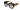 Gucci 1407S Tortoise 002 Size 54, Sunglasses - Dayal Opticals