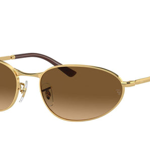 Ray Ban Eyewear & Sunglasses