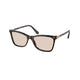 DARK HAVANA   1002M4 / 55