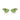 Swarovski Eyeglasses & Sunglasses