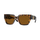 HAVANA & DARK BROWN   511963 / 53