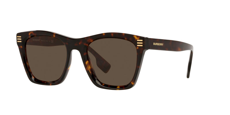Burberry Matte Black Shield Sunglasses Burberry | TLC