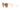 BVLGARI  0BV  6118 - Dayal Opticals   