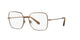 MARRONE   1356 / 54