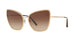 GOLD  BROWN     02/13 / .