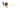 DOLCE GABBANA   0DG 2251H - Dayal Opticals   
