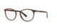 BROWN     3118 / .