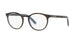HAVANA & TRANSPARENT BLUE   3209 / .